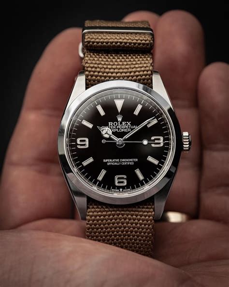 rolex explorer brown nato|rolex nato explorer.